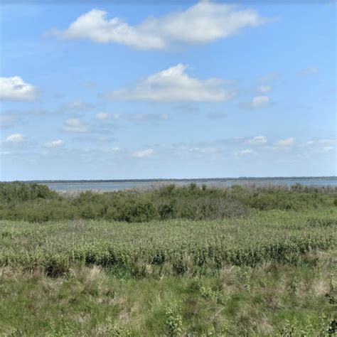 Lake Jesup Wetland Mitigation - The Mitigation Banking Group