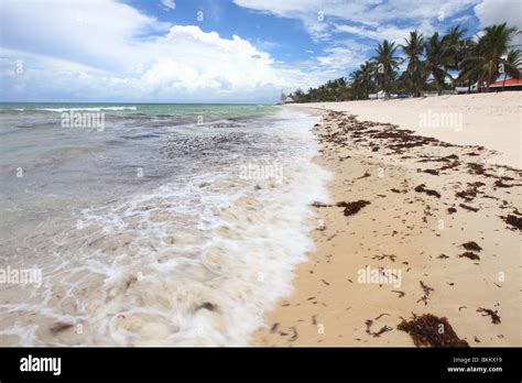 Kenya Mombasa Africa Diani Beach High Resolution Stock Photography And