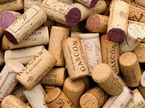 How To Cork A Wine Bottle Learn The Ins And Outs Drinxville