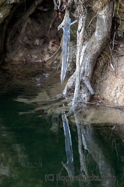 Icicle Reflecting In Green Water Red Rock Canyon Nevada First Creek