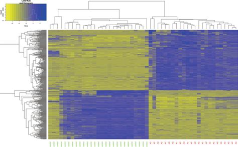 Cluster analysis for the differentially expressed genes identified from ...
