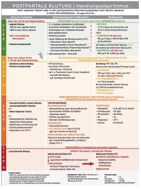 Obsgyn Wiki Kantonsspital Winterthur Postpartale Hämorrhagie