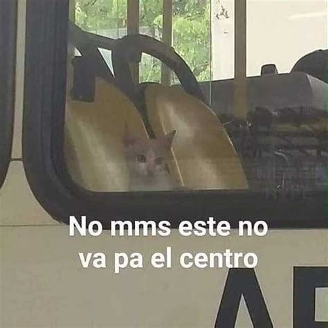 Mi Ego Yo Memes