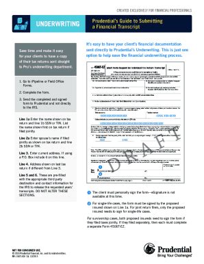 Fillable Online Prudential S Guide To Submitting A Financial Statement