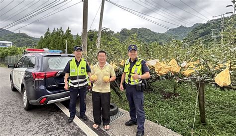 東勢水梨產季防宵小 台中警民連線巡邏防竊 中華日報 中華新聞雲