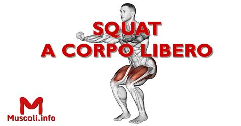 Squat A Corpo Libero Esercizio Per Gambe Muscoli Info