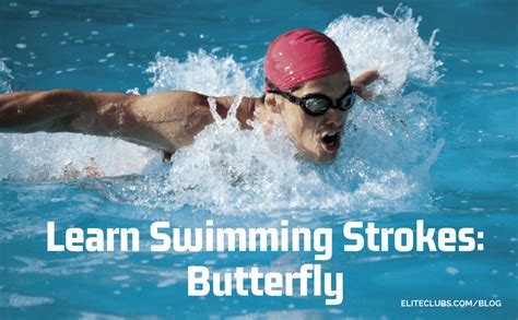 Learn Swimming Strokes Butterfly Elite Sports Clubs