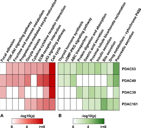 Functional Enrichment Analysis For The Degs Identified Between The Two