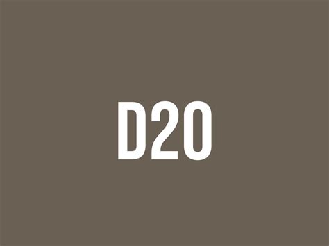 What Does D20 Mean? - Meaning, Uses and More - FluentSlang
