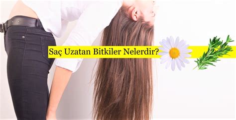 Sa Uzatan Bitkiler Nelerdir G Zel Bilgiler