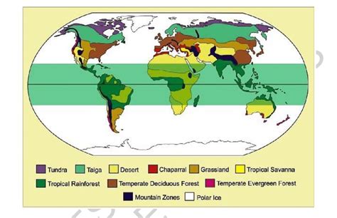 World Map Indicating Biomes Types Biomes Are Classified According To