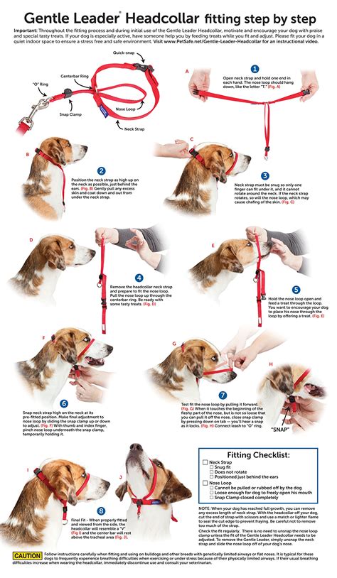 Can I Use A Gentle Leader On A Puppy
