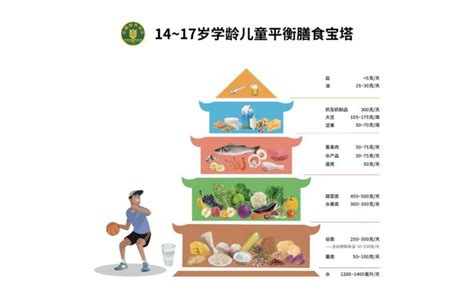 中国学龄儿童平衡膳食宝塔（2022）图示解析