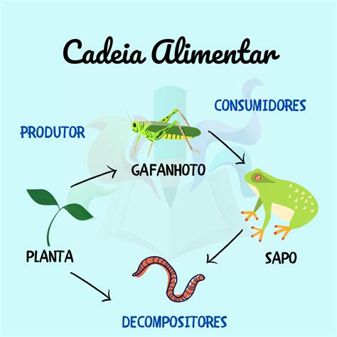 Desenhos De Cadeias Alimentares