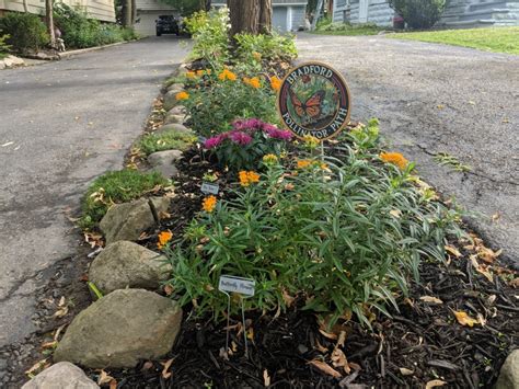 Ch Streets Collaborate To Create Pollinator Habitats The Heights Observer