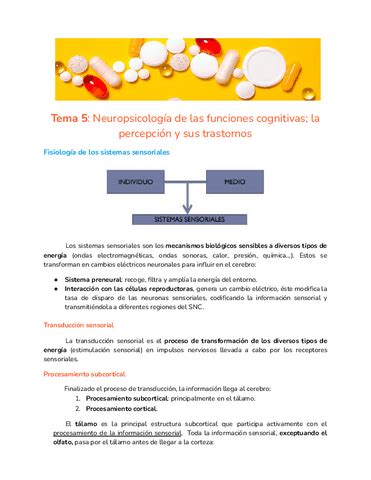 Tema 5 Neuro Pdf