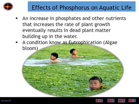 Phosphate As A Water Quality Parameter