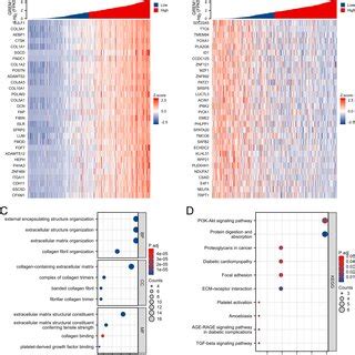 Grem Co Expressed Genes And Functional Enrichment Analysis In