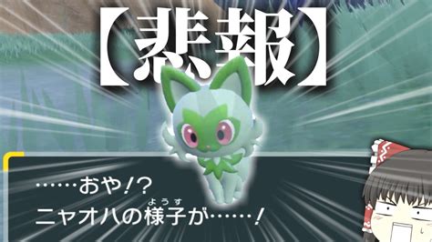 ピロ On Twitter ポケモンsv ニャオハ、遂に進化します。 【ポケモンsv】ニャオハ、立つな【ゆっくり実況？】