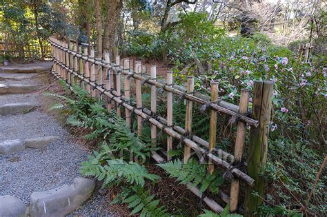 日本庭園の四つ目垣 123372723 の写真素材 アフロ