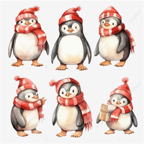 Watercolor Illustration Set Of Christmas Penguin Character Penguin