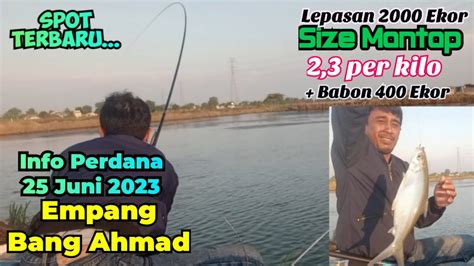 Terbaru Info Perdana Bandeng Marunda Empang Bang Ahmad Sungai