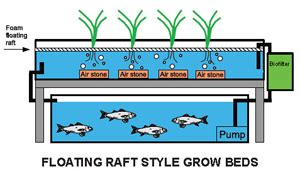 Aquaponics NT GOV AU