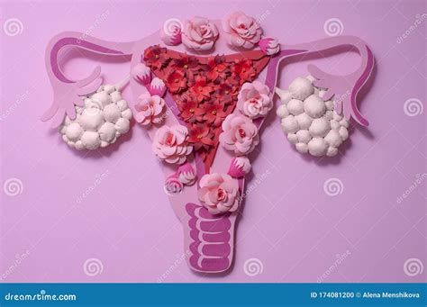 Concept Polycystic Ovary Syndrome Pcos Women Reproductive System