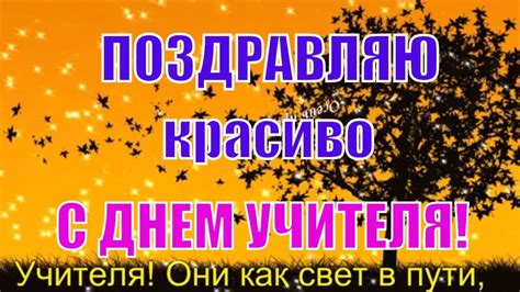 Поздравление с днем учителя🌺красивое поздравление учителю🌺Happy ...