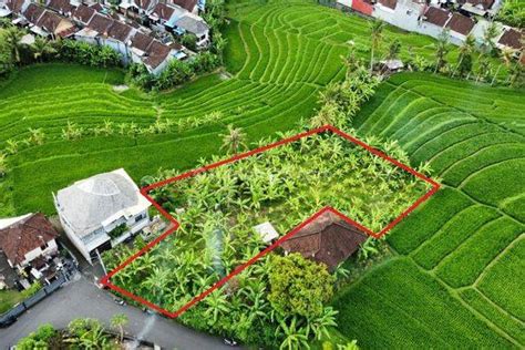 Dijual Tanah 11 Are Jalan Tumbak Bayuh Pererenan Lingkungan Tenang