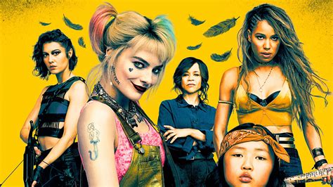 100 Birds Of Prey Wallpapers