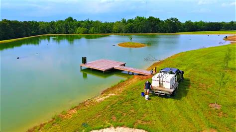 Building A 5 Acre Pond Adding The Bass YouTube