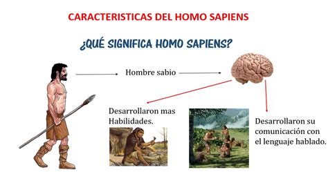 Encogerse De Hombros Regularidad Productivo Cuáles Son Las