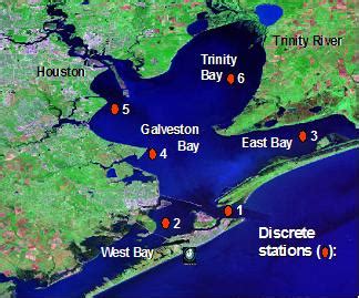 Phytoplankton Dynamics Lab - Ballast Water