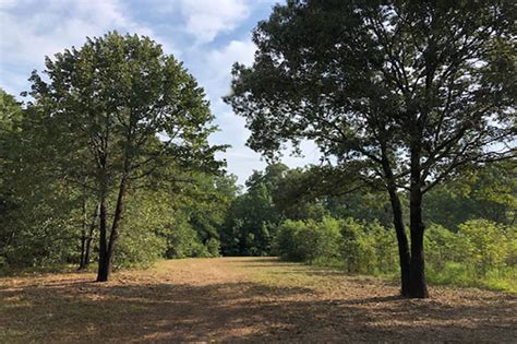 East Texas Land Rural Acreage For Sale Recreational Wooded