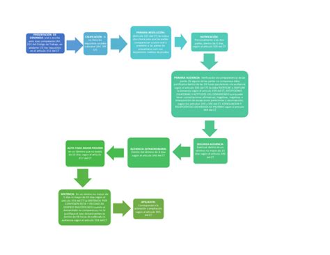 Esquema Juicio Ordinario Pdf Judicaturas Ley Pública