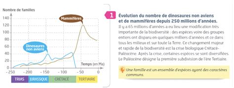 TP TD 2 Les Crises Biologiques Sciences De La Vie Et De La Terre