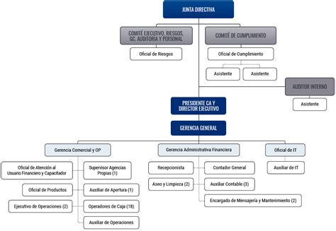 Gobierno Corporativo CORELSA