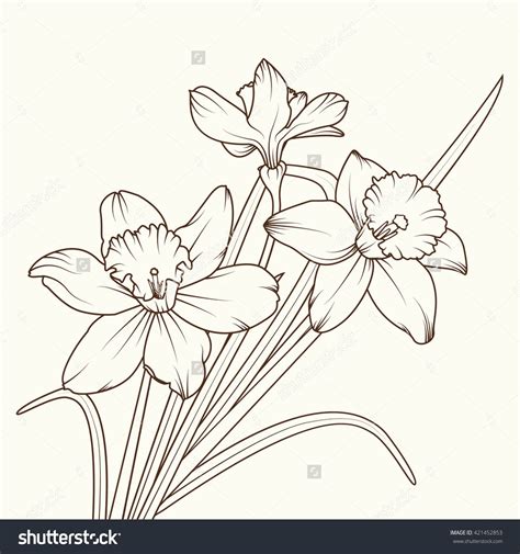 Free 52 Narcissus Flower Svg SVG PNG EPS DXF File