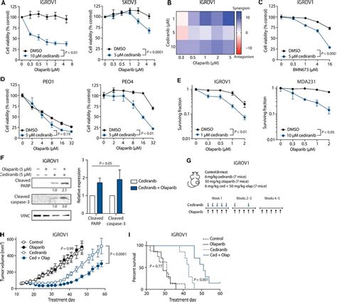 Cediranib Suppresses Homology Directed Dna Repair Through Down