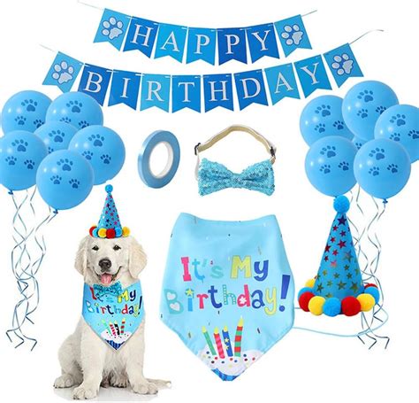 Amazon.com: Dog Birthday Party Supplies Dog Birthday Party Decorations Boy with Dog Party Hat ...