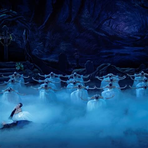 Review National Ballet Of Chinas Giselle Dazzling Act 2 But Hong