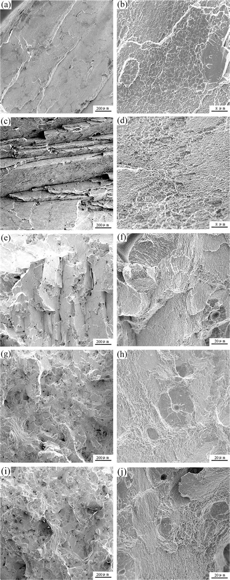 Tensile Fracture Morphologies Of The Alloy At Different Temperatures