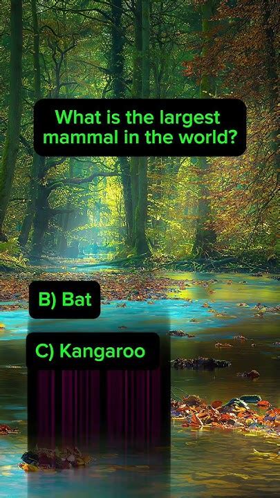 Ultimate Quick Quiz Challenge Test Your Knowledge Now 🧠 Quiztime