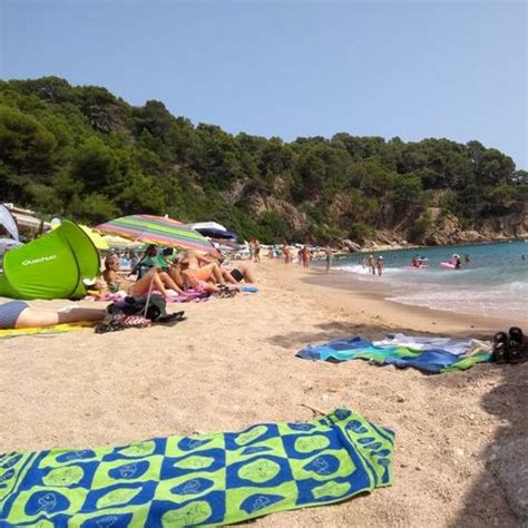 Camping Senia Cala Canyelles Lloret Del Mar Tarifs Et R Servations