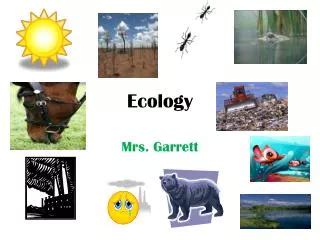 Ppt Physiological Ecology The Physical Environment Powerpoint