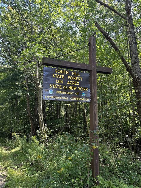 A complete guide to the best dining spots in Forest hill ny 30