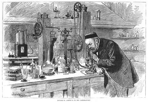 Louis Pasteur Y El Vino Bodegas Protos