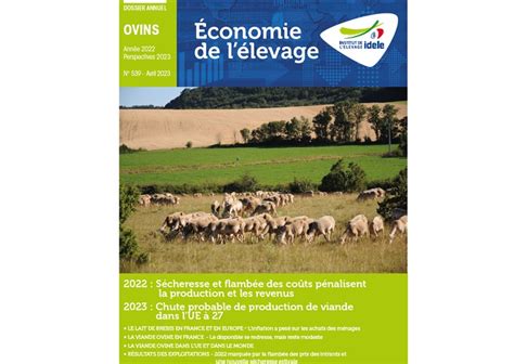 Dossier Annuel Ovin Conomie De L Levage Ann E Et Perspectives