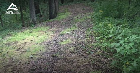 Best Hikes And Trails In Ramsey Alltrails